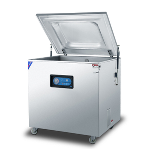 DZQ-800 Machine de scellage d'aliments sous vide Sac en plastique Machine d'emballage à vide pain à vide
