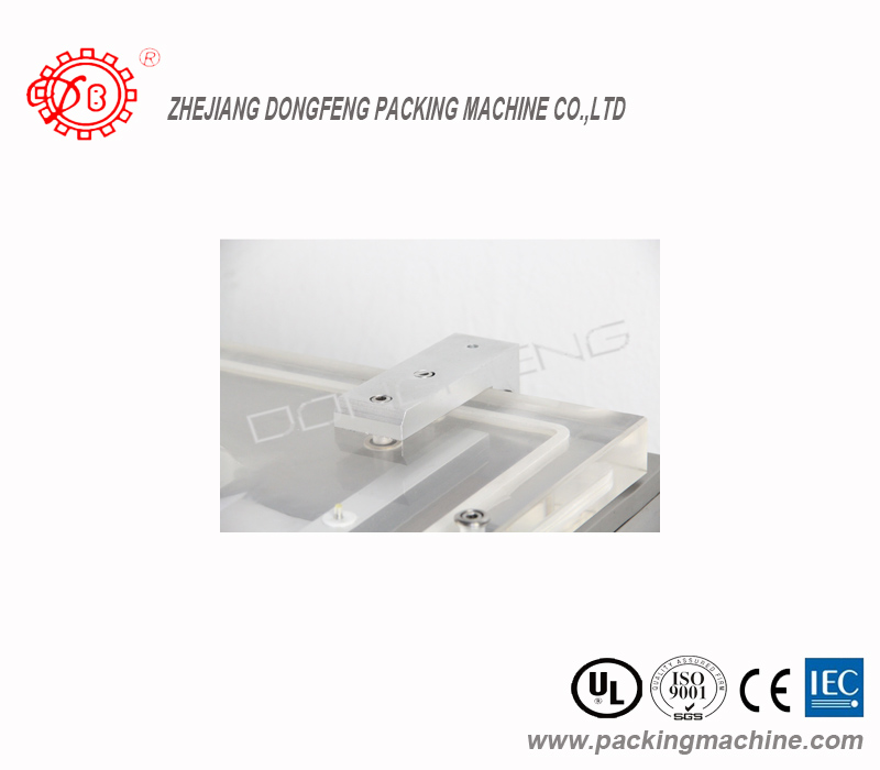 ВАКУУМНЫ ЎПАКІВАЧ СЕРЫІ DZ (DZQ-600B)